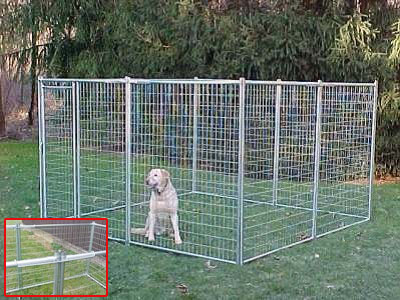 cage , pet cage, trap cage