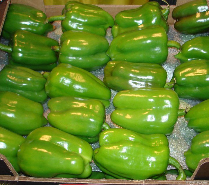 Green Capsicum