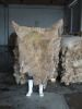 sheep skins