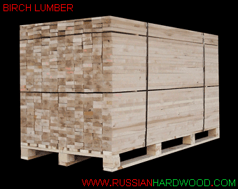 Russian (Baltic) Birch lumber