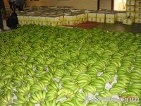 Green cavendish bananas