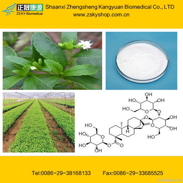 Stevia extract from GMP Certified Manufacturer