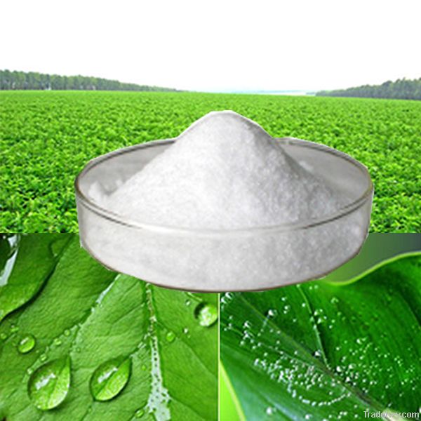 Stevia extract from GMP Certified Manufacturer