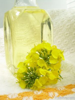 Refined Canola Oil