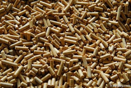 Wood Pellets  and Mangrove Charcoal