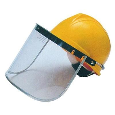 Face Shield