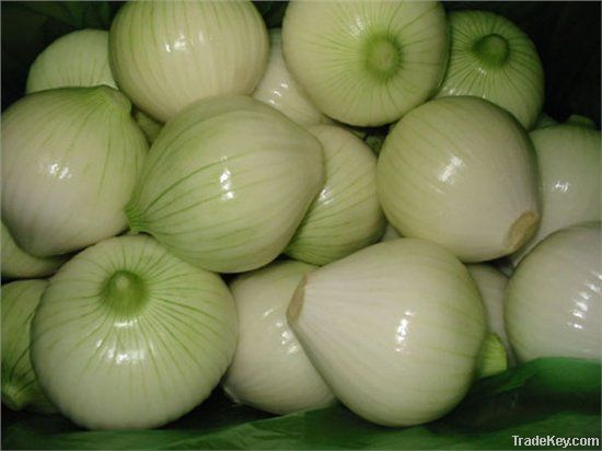 GAOMI SHENGYUAN BRAND ONION