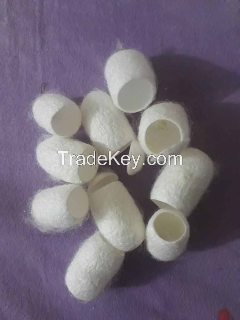 Skin care Vietnamese silk cocoon white natural silkworm cocoon