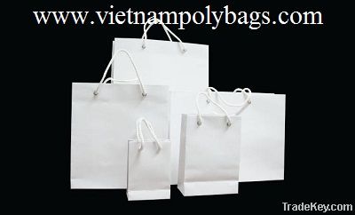 Simple paper shopping bag