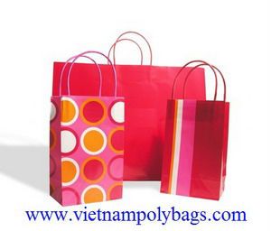 Gift boutique paper shopping bag