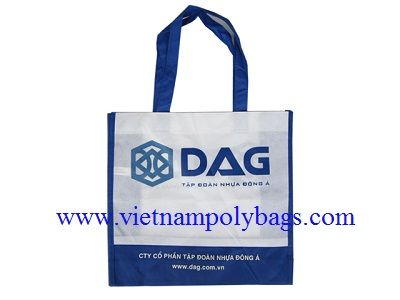 PPN-10 gift shopping ppnw bag