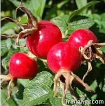 Rose Hips Extract