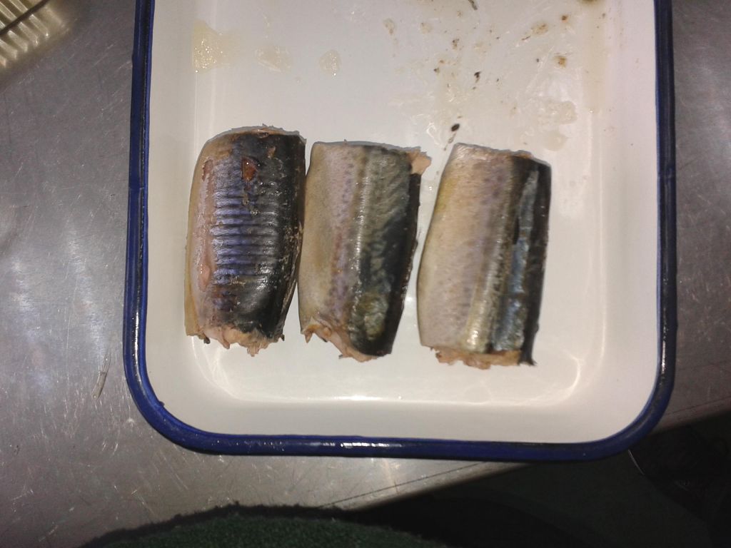 canned mackerel in oil 425g