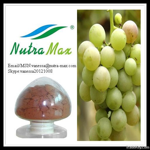 Grape seed Extract