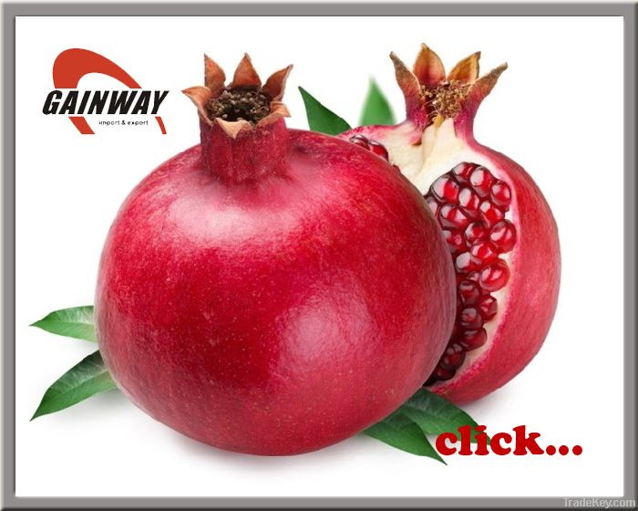 Herbal extract, Pomegranate Extract powder