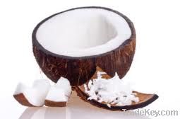 Coconut | Desiccated Coconut | Coco