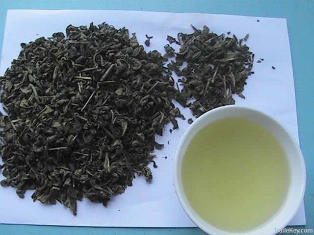 GREEN TEA SP2, SP3