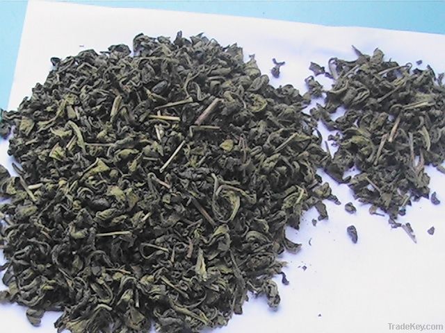 GREEN TEA SP2, SP3