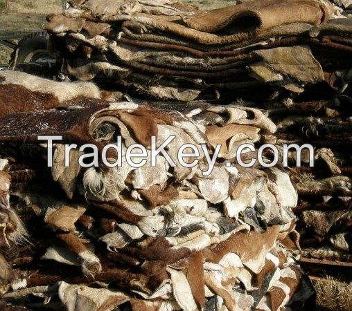 Wet Salted Donkey hides, Wet salted cow skin, Dry salted donkey hides