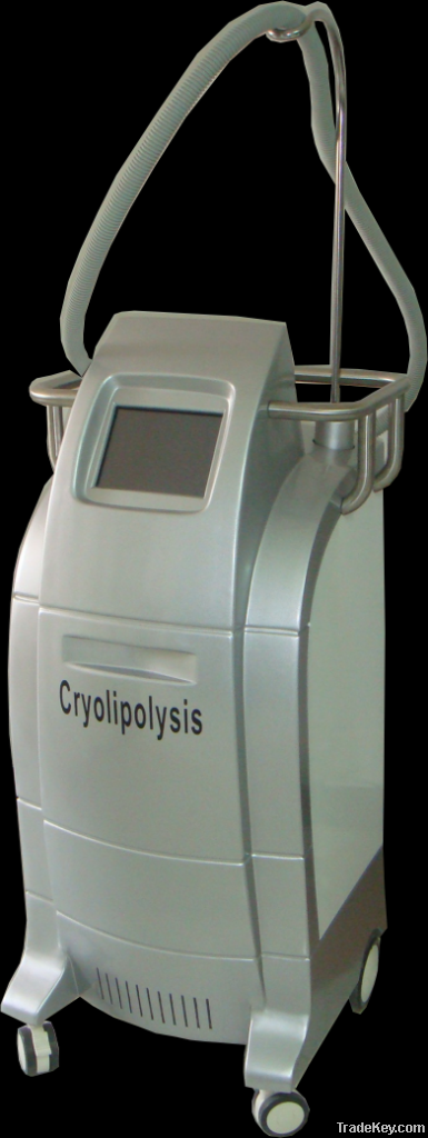 Vertical Cryolipolysis