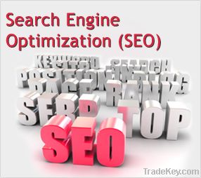 Search Engine Optimization