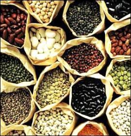 Legumes  