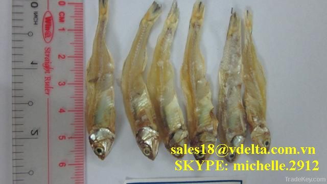 Dried Anchovy Fish