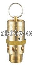 CE safety valve