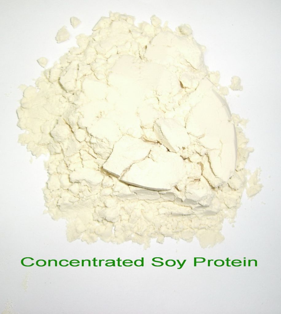 Concentrated Soy Protein on sale