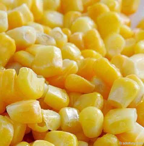Frozen vegetable-Frozen Sweet Corn Kernel