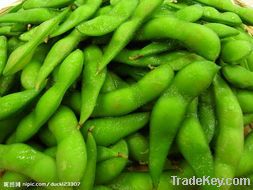 Frozen vegetable-Frozen Green Soybean
