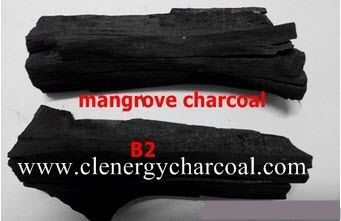 Mangrove Charcoal 