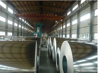 Galvanized Steel Coil