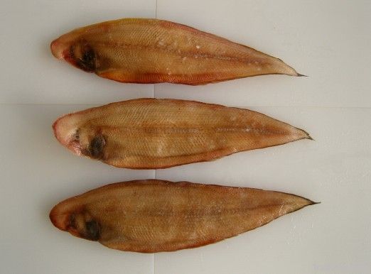 Solefish