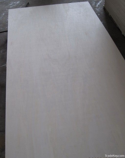 poplar plywood BB/CC