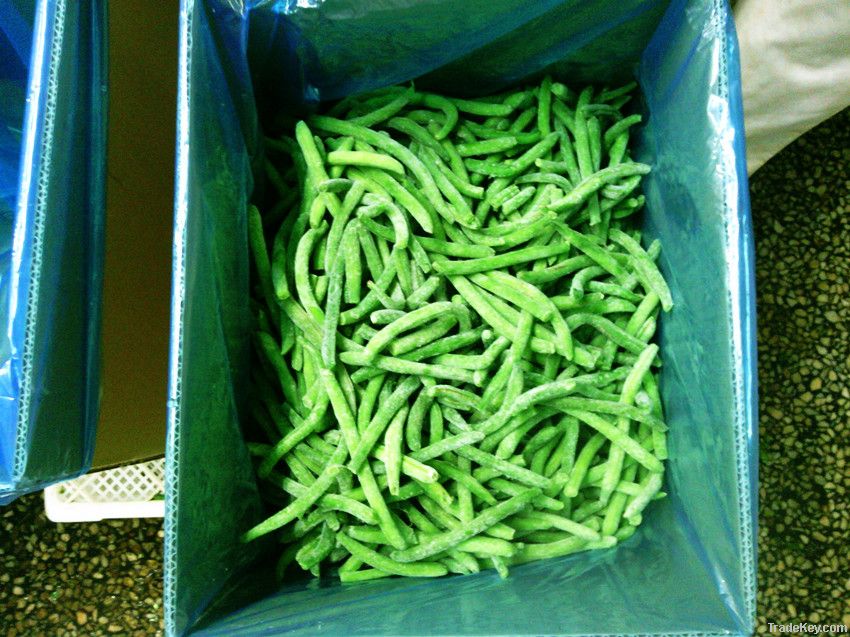 china iqf frozen green beans