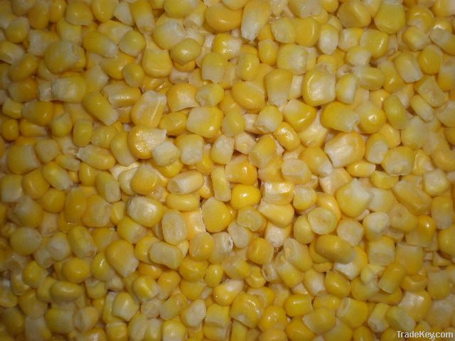 china iqf sweet corn