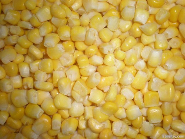 china iqf sweet corn