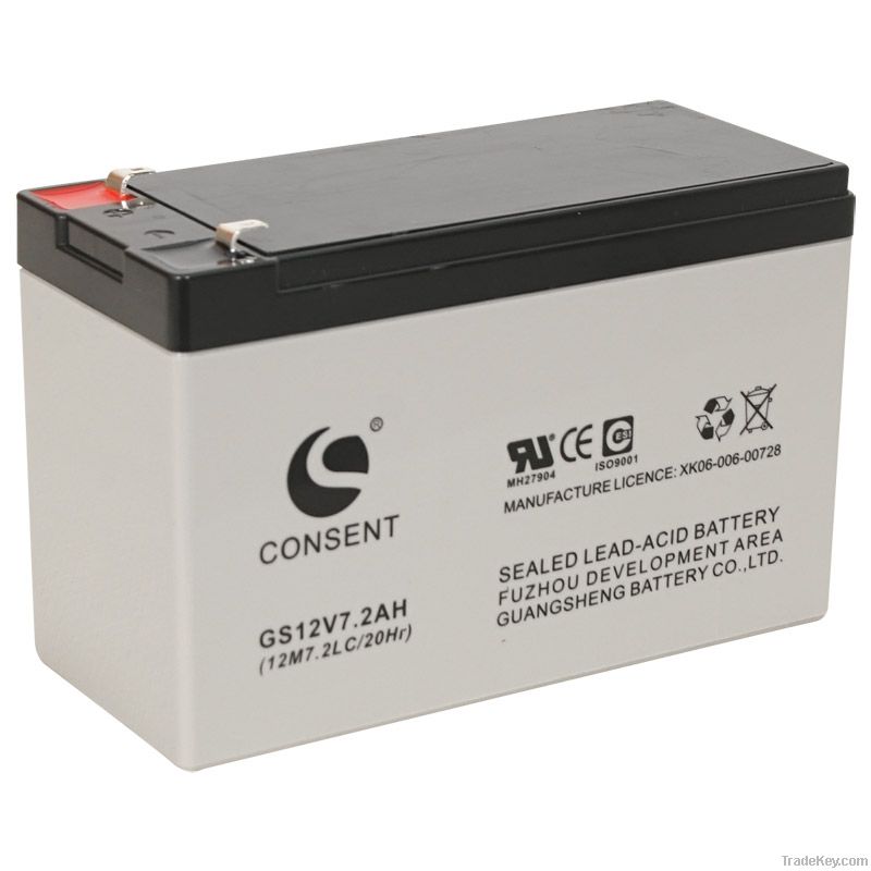 Valve Lead Acid Battery GS12V10ah (UL, CE, ISO9001, ISO14001)