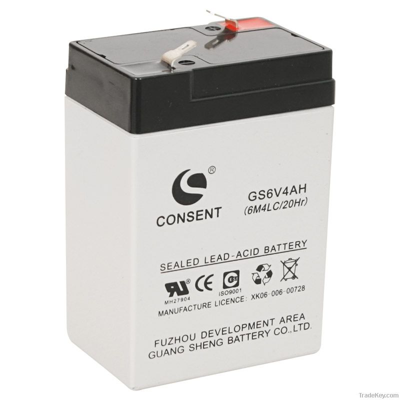 Lead Acid Battery (GS6V4AH)