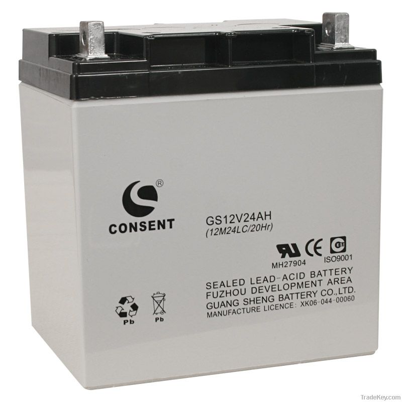 Deep Cycle Battery GS12V24ah (UL, CE, ISO9001, ISO14001)