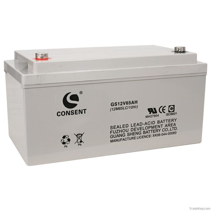 Rechargeable Battery GS12V65ah (CE, UL, ISO, SGS)