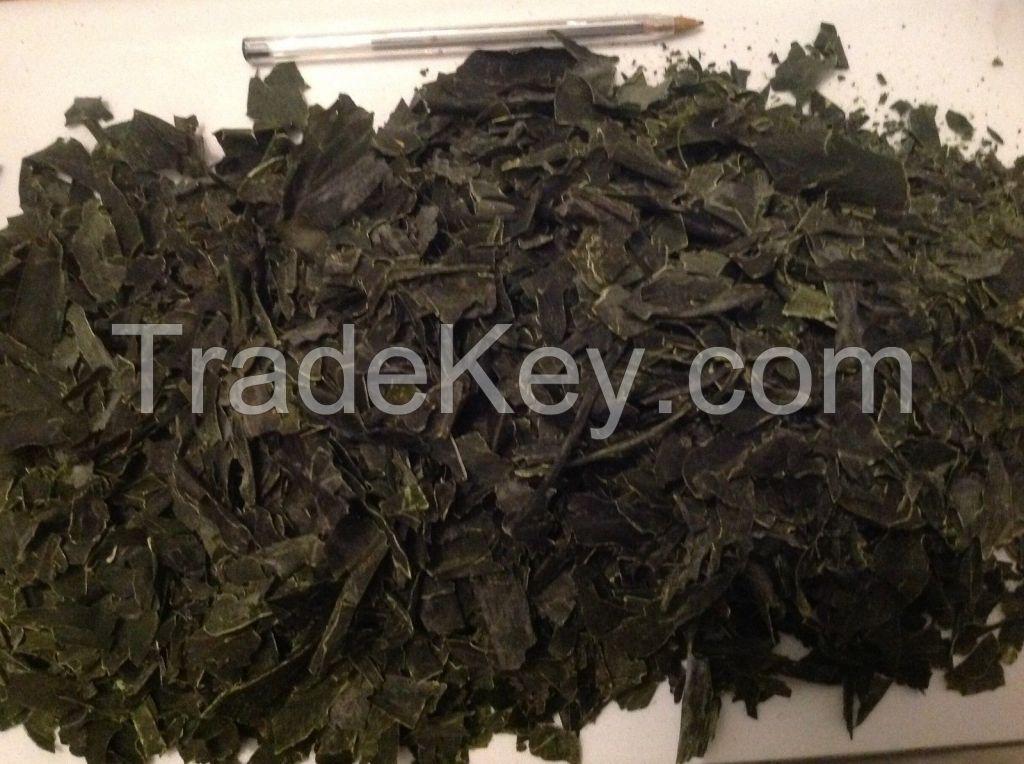 Organic Seaweed Meal Kelp Fertiliser For Gardens, Flowers, Lawn Shrubs