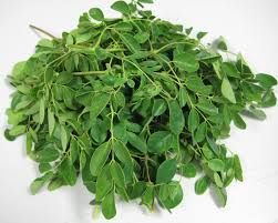 Moringa leaf Organic
