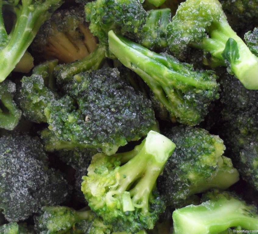 frozen foods frozen vegetables frozen broccoli
