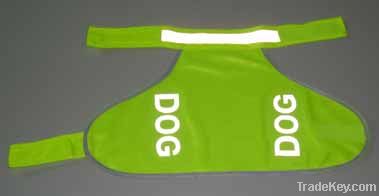 dog safety clothing