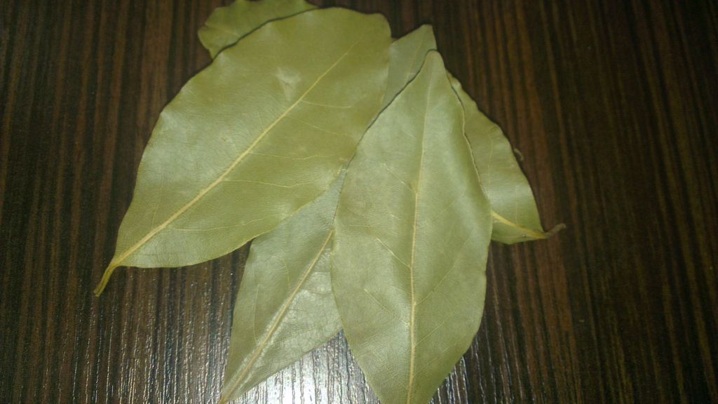 Bay Leaf