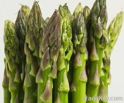 Asparagus