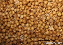 Coriander seeds