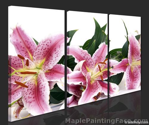Hot Sale Flower Canvas Printings with  Eco-friendly Material